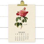 Beautiful Vintage Botanical 2019 Calendar. A perfect addition to your desk or bulletin board! livelaughrowe.com
