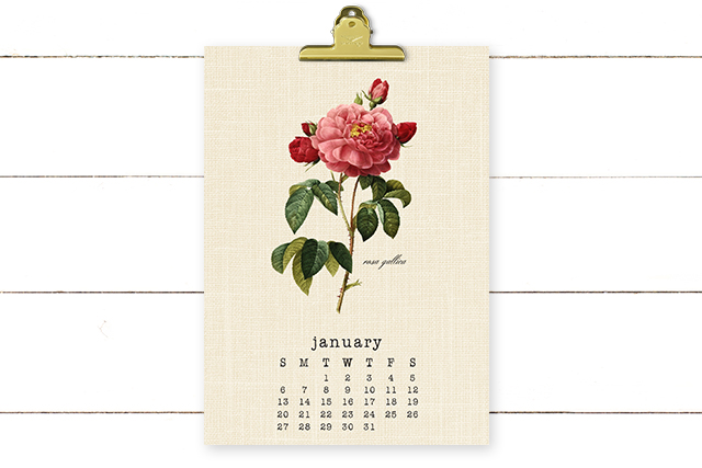 Beautiful Vintage Botanical 2019 Calendar. A perfect addition to your desk or bulletin board! livelaughrowe.com