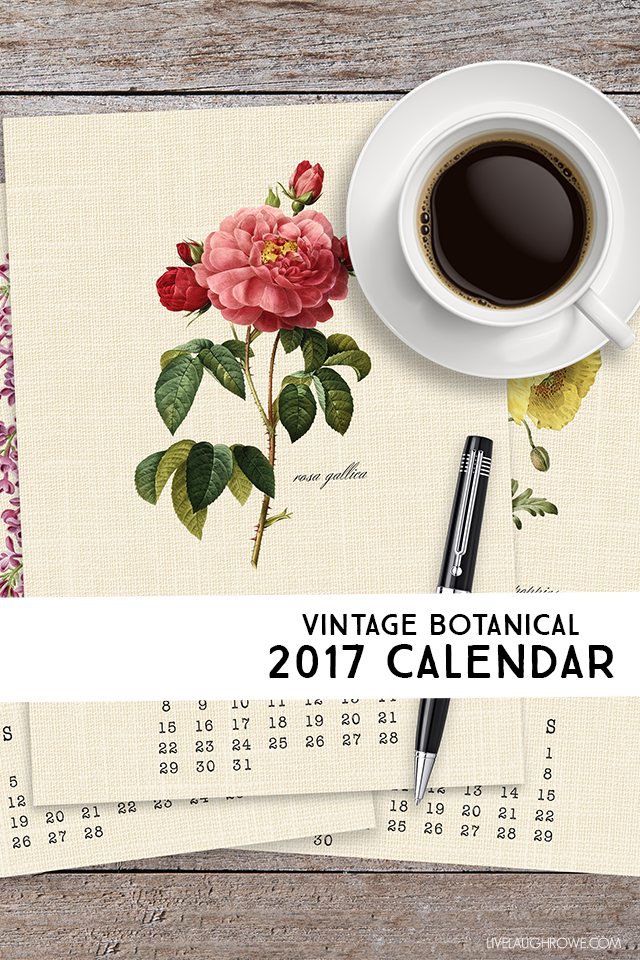 Vintage Botanical 2017 Calendar Live Laugh Rowe