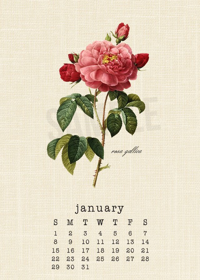 Beautiful botanical January 2017 Calendar. livelaughrowe.com