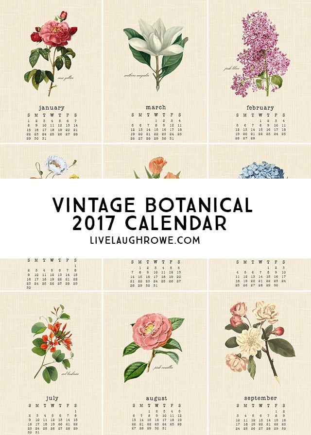 Beautiful Vintage Botanical 2017 Calendar. A perfect addition to your desk or bulletin board! livelaughrowe.com