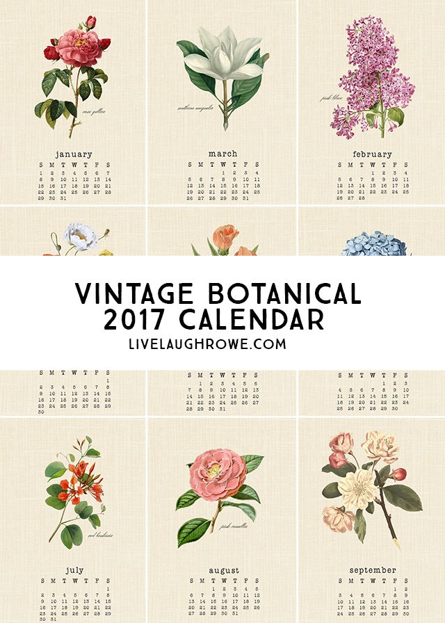 Vintage Botanical 2017 Calendar Live Laugh Rowe