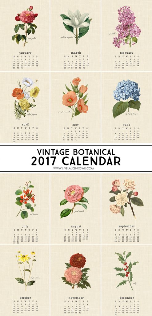 Vintage Botanical 2017 Calendar - Live Laugh Rowe