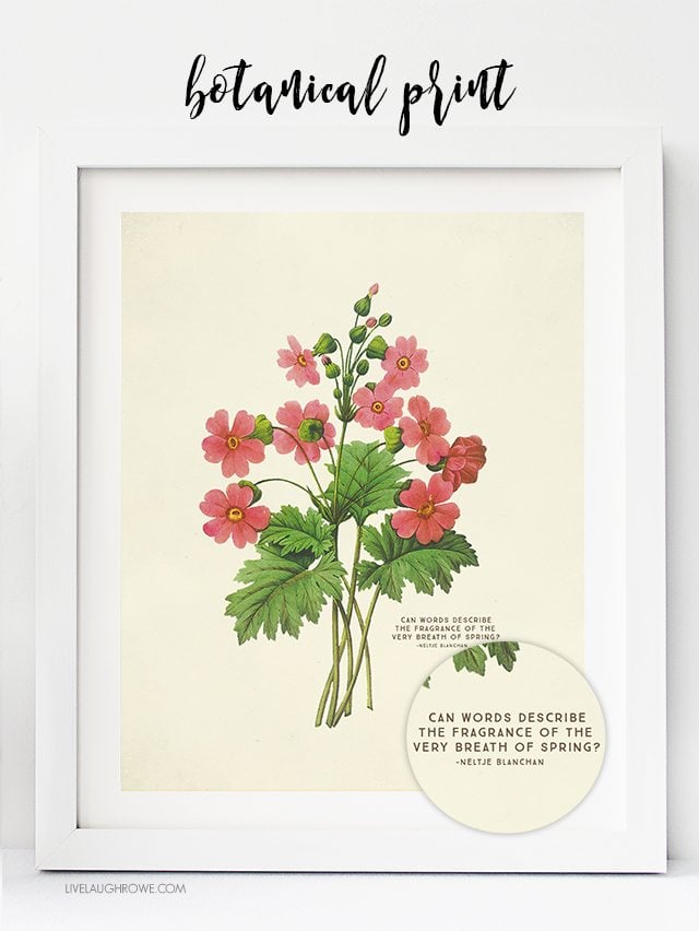 Vintage Botanical Prints are beautiful. Who doesn't love free printable wall art too? These vintage inspired Spring prints would make a great addition to your spring decor by placing them on a table or hanging them on your wall. livealughrowe.com