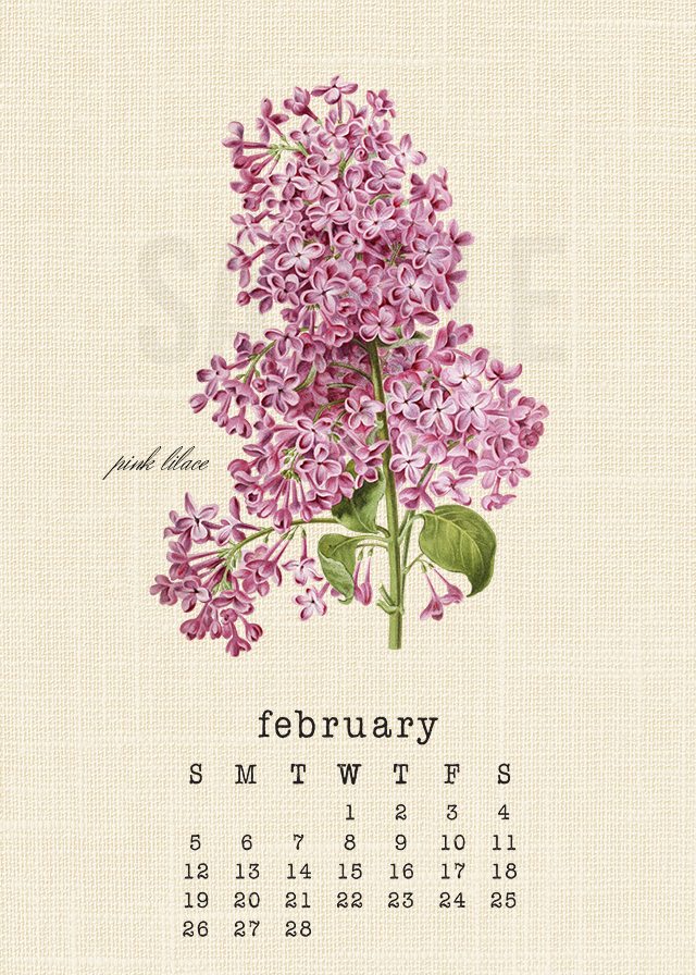 Beautiful 2017 Botanical February Calendar. livelaughrowe.com