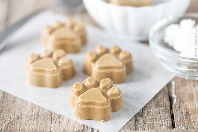 peanut butter coconut dog treats