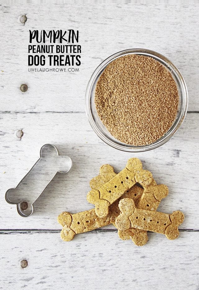 These Pumpkin and Peanut Butter Dog Treats are sure to keep your dogs tails wagging with excitement!