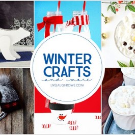 Fun Winter Crafts and More for the whole family. livelaughrowe.com