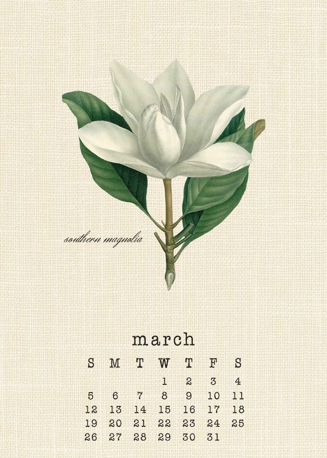 Beautiful March 2017 Botanical Calendar. Print yours at livelaughrowe.com