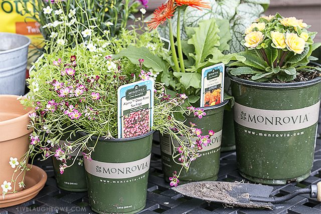 Simple Ways to Add Color to Your Back Porch. Let's start with colorful flowers -- find more at livelaughrowe.com