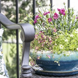Simple ways to spruce up your patio with COLOR! livelaughrowe.com