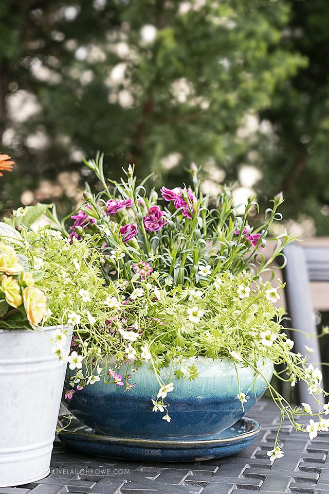 Simple ways to spruce up your patio with COLOR! livelaughrowe.com