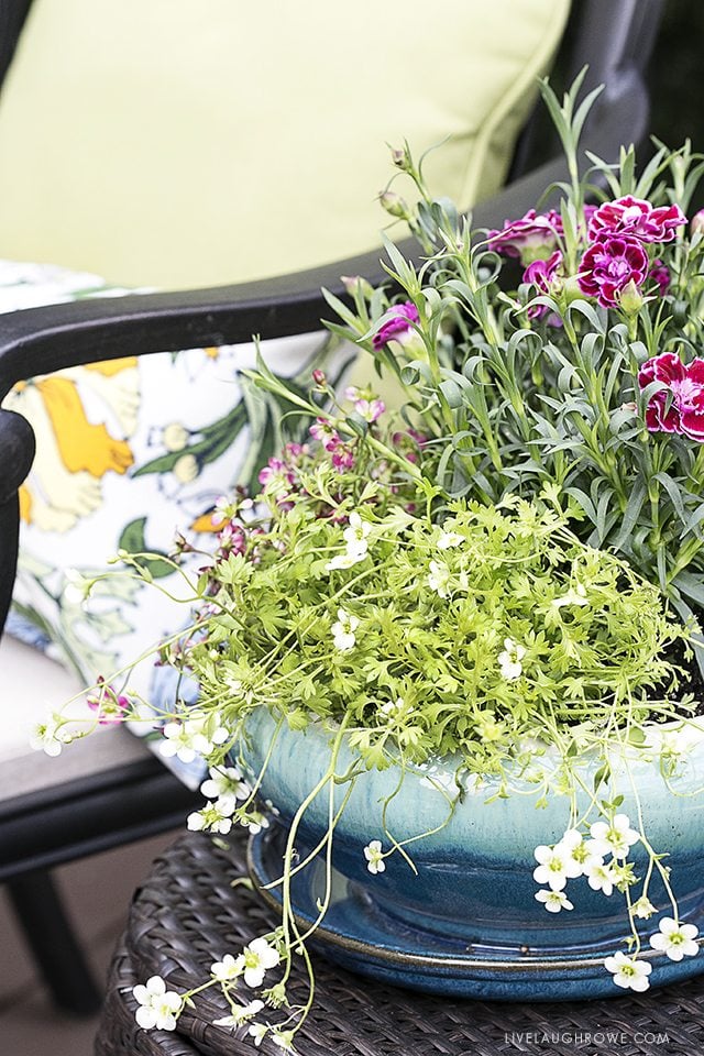 Simple Ways to Add Color to Your Back Porch. Let's start with colorful flowers -- find more at livelaughrowe.com