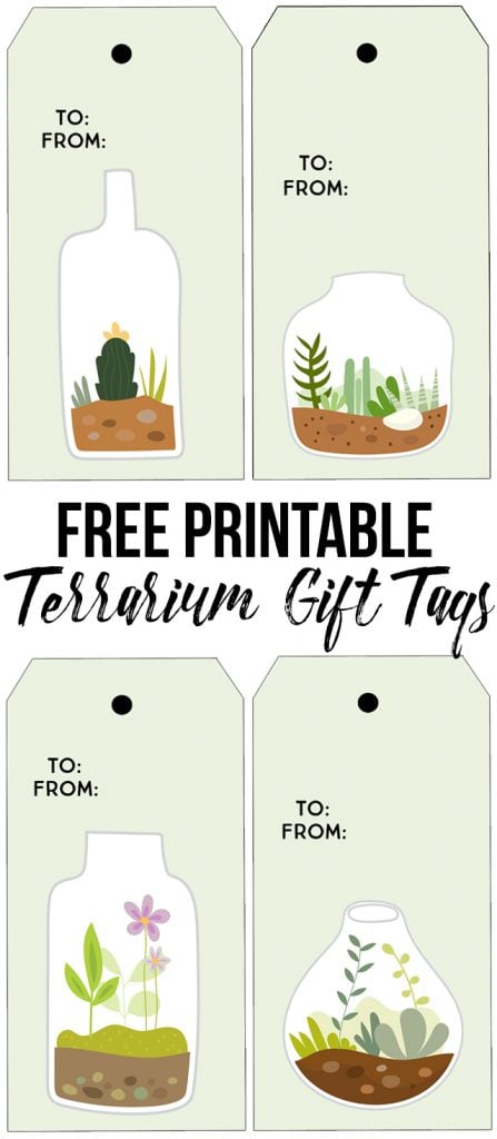 Absolutely darling (and free) printable terrarium gift tags. If you love succulents, these are perfections. livelaughrowe.com