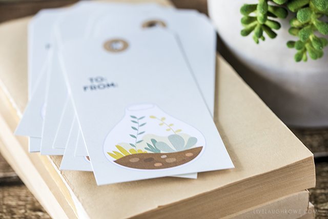 Absolutely darling (and free) printable terrarium gift tags. If you love succulents, these are perfections. livelaughrowe.com