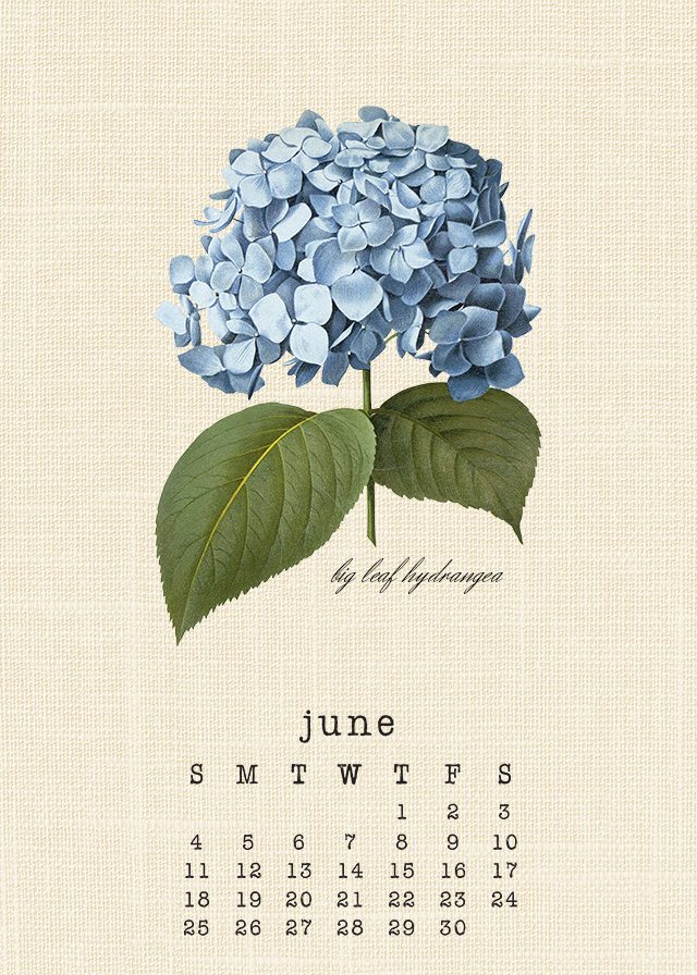 Beautiful June 2017 printable Botanical Calendar. livelaughrowe.com
