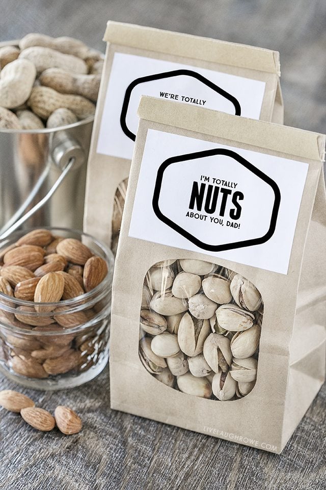 We Are Nuts About You Gift Idea - DIY Inspired