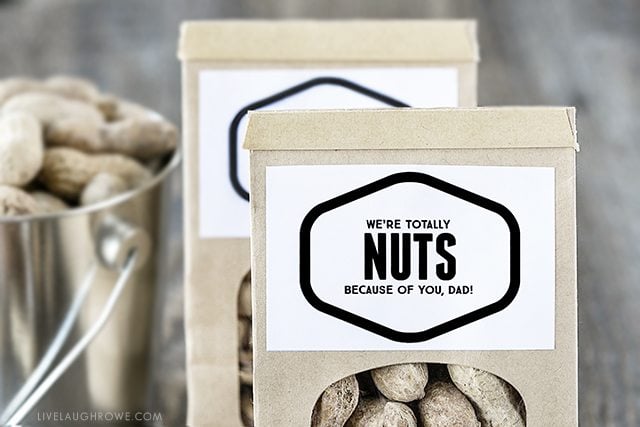 Fun "Nuts About You" printables -- lots of options too! Find one for Father's Day, Valentine's Day or just because. Go NUTS! livelaughrowe.com