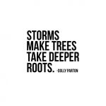 July 2017 Calendar with inspirational quote by Dolly Parton, "Storms make trees take deeper roots." Print yours at livelaughrowe.com