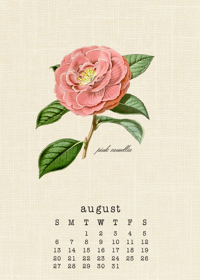 Beautiful Botanical August 2017 Calendar. livelaughrowe.com