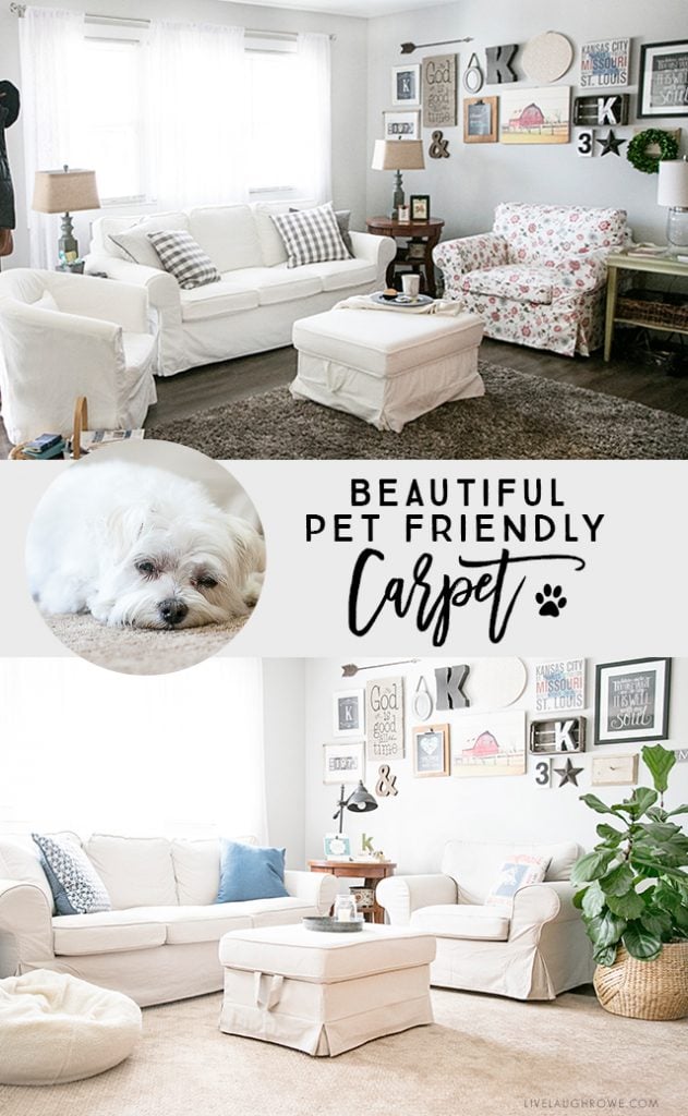 AWESOME Pet Friendly Carpet!! No moisture absorption with a spill and spoil shield for quick cleanup. Learn more at livelaughrowe.com