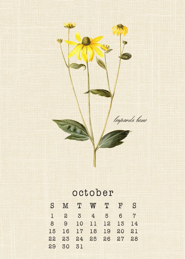 Beautiful Botanical October 2017 Calendar. Free printable calendar at livelaughrowe.com