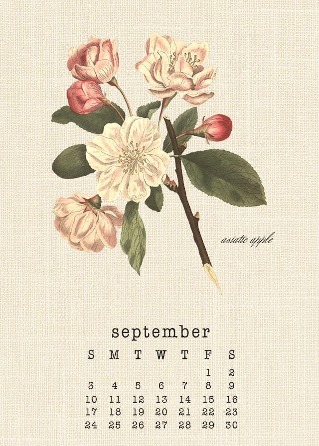 Lovely Botanical September 2017 Calendar. Print yours at livelaughrowe.com