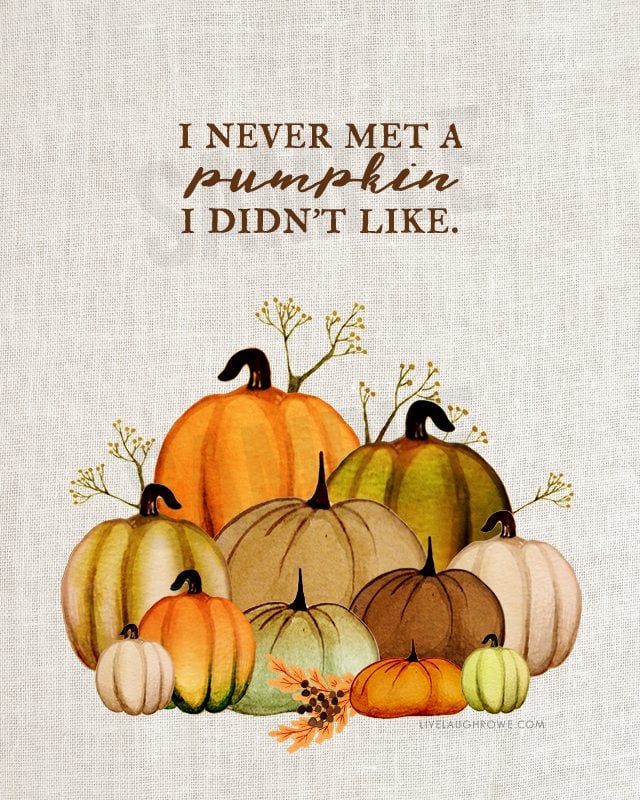 Ahhh. I love fall and this free fall printable is beautiful! "I never met a pumpkin I didn't like." Available at livelaughrowe.com