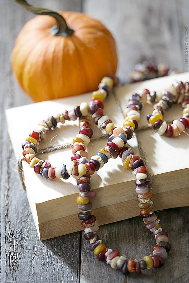 Lifestyle blogger, Kelly Rowe, has created this decorative Autumn Garland using Indian Corn Seeds. This project is one you'll want to add to your fall to-do list. Find out more at livelaughrowe.com