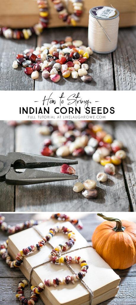 Lifestyle blogger, Kelly Rowe, shows you how to make a lovely Autumn Garland using Indian Corn Seeds. This project is one you'll want to add to your fall to-do list. Find out more at livelaughrowe.com