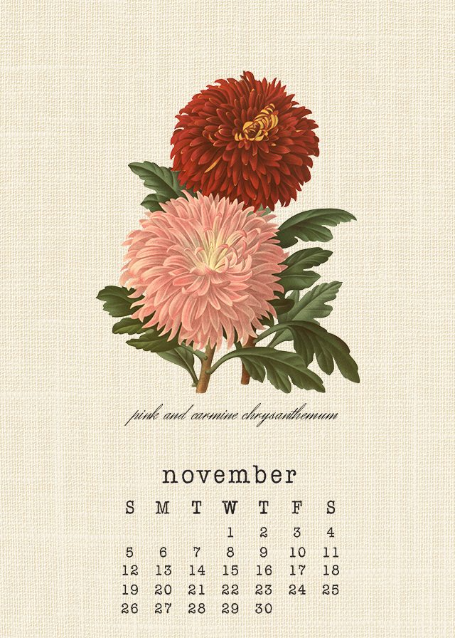 November 2017 Botanical Calendar. Grab your free printable calendar at livelaughrowe.com