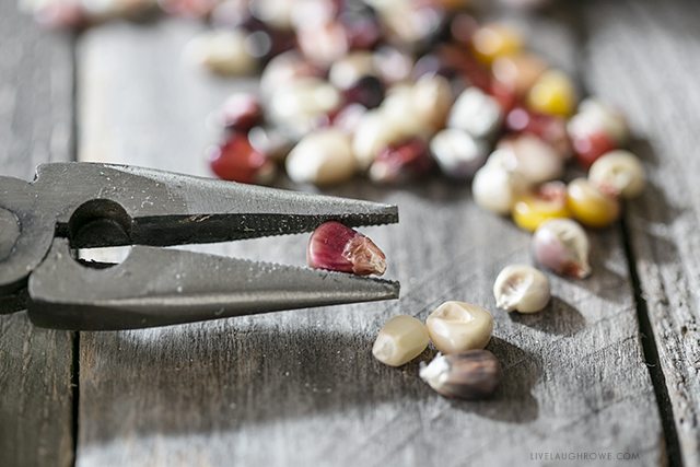 Lifestyle blogger, Kelly Rowe, shows you how to make a lovely Autumn Garland using Indian Corn Seeds. This project is one you'll want to add to your fall to-do list. Find out more at livelaughrowe.com