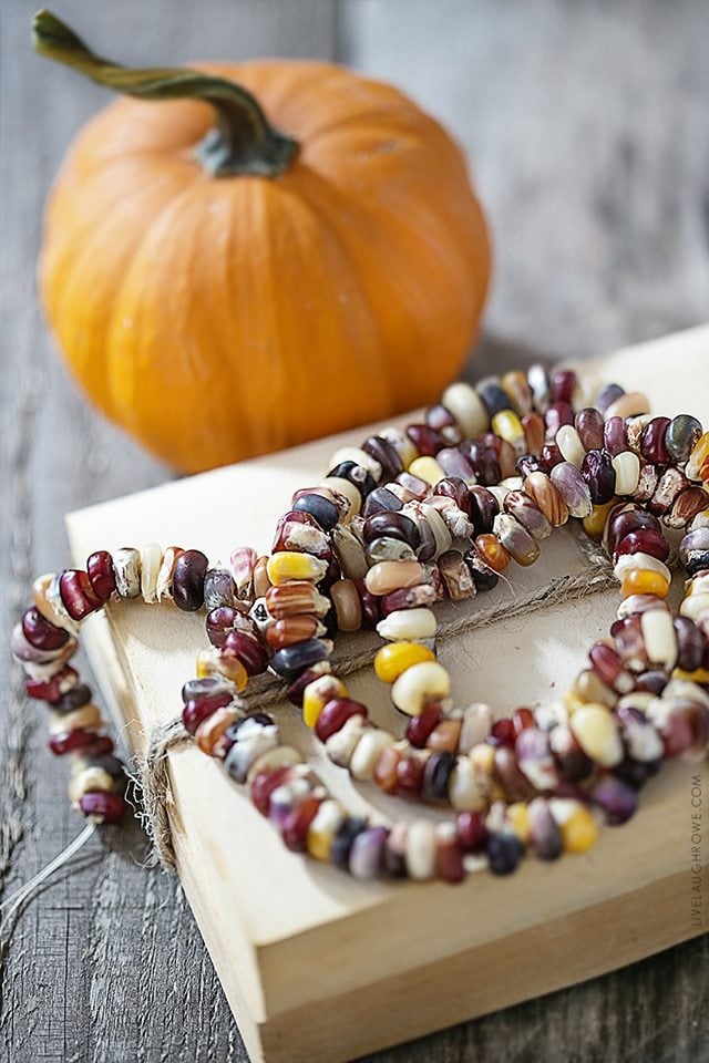 Lifestyle blogger, Kelly Rowe, has created this decorative Autumn Garland using Indian Corn Seeds. This project is one you'll want to add to your fall to-do list. Find out more at livelaughrowe.com