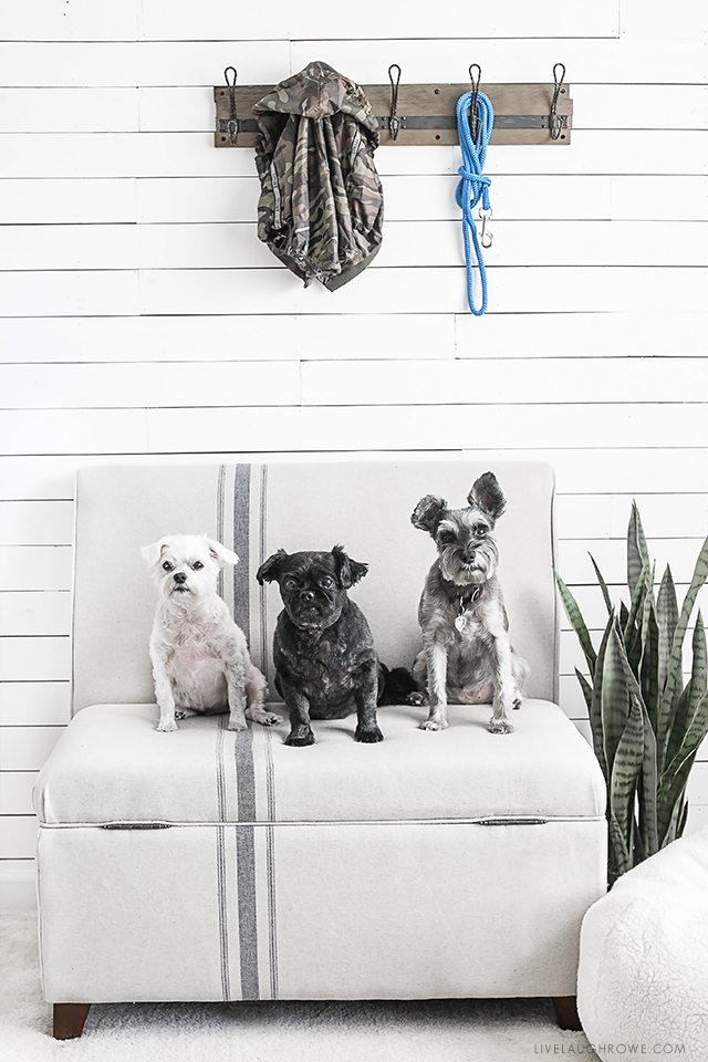 A space created especially with her dogs in mind? Love it! Kelly of Live Laugh Rowe made this space pet friendly and fabulous. livelaughrowe.com