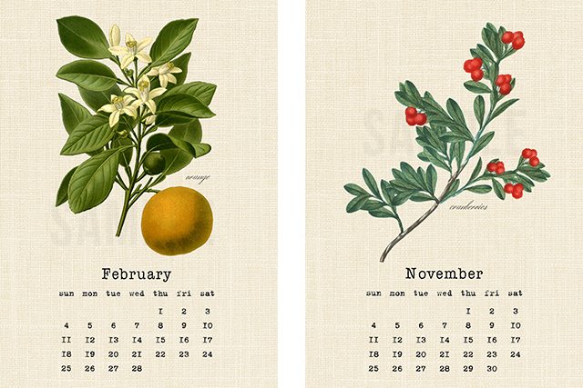 Beautiful Vintage Botanical Fruit Printable Calendar for 2018. Print one for yourself and a friend! livelaughrowe.com