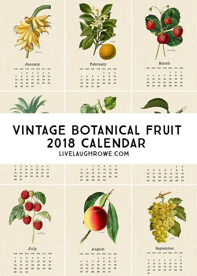 Beautiful Vintage Botanical Fruit Printable Calendar for 2018. Print one for yourself and a friend! livelaughrowe.com