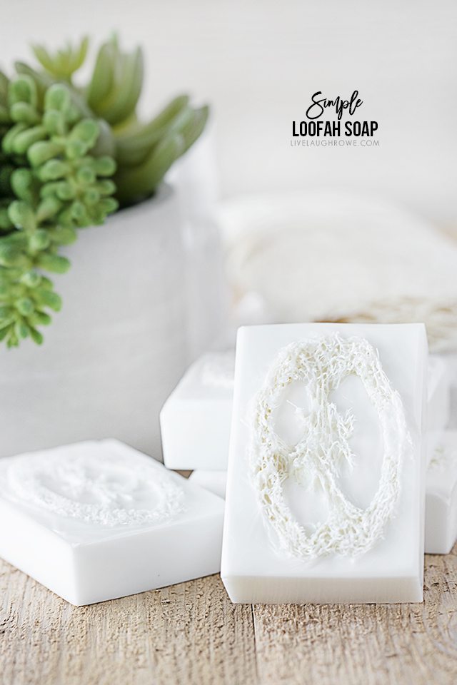loofah soap
