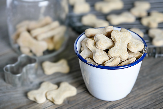 Quick and Easy Homemade Peanut Butter Dog Treats using four ingredients you already have on hand. Be prepared for your dog(s) to start begging for more! Recipe at livelaughrowe.com