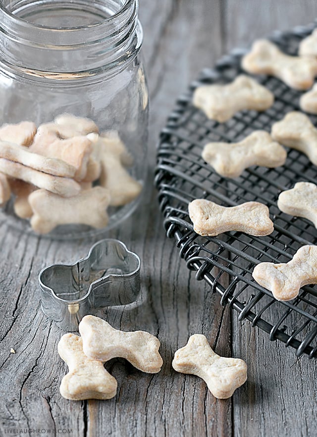 Quick and Easy Homemade Peanut Butter Dog Treats using four ingredients you already have on hand. Be prepared for your dog(s) to start begging for more! Recipe at livelaughrowe.com