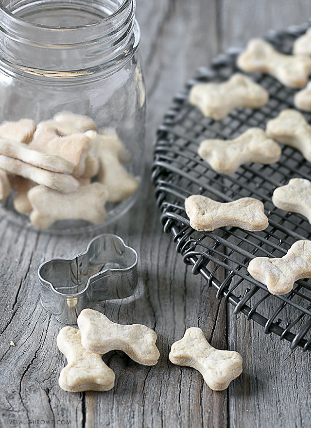 Quick and Easy Homemade Peanut Butter Dog Treats using four ingredients you already have on hand. Be prepared for your dog(s) to start begging for more! Recipe at livelaughrowe.com