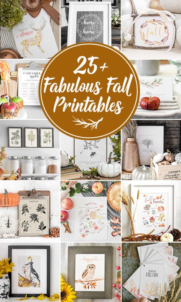 25+ Fabulous Fall Printables -- from gift tags to place setting cards to a pumpkin spice printable with the recipe on it! You're sure to find a few new favorites. livelaughrowe.com
