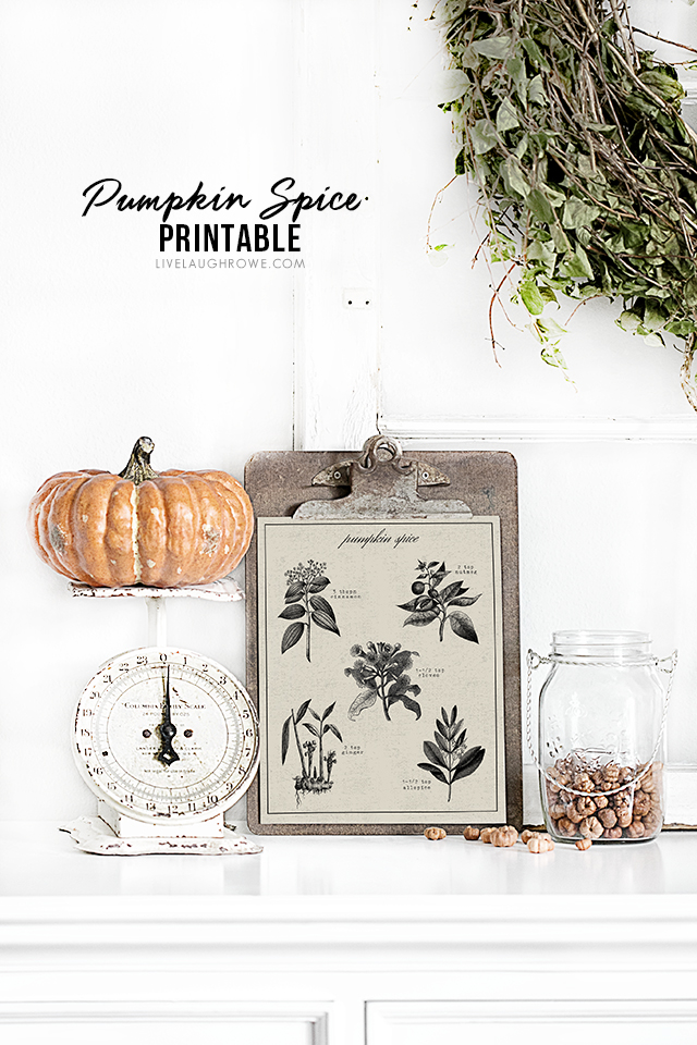 Beautiful vintage inspired Pumpkin Spice Printable -- with the recipe for pumpkin spice on it! This would make a great gift framed or with a bottle of pumpkin spice! livelaughrowe.com