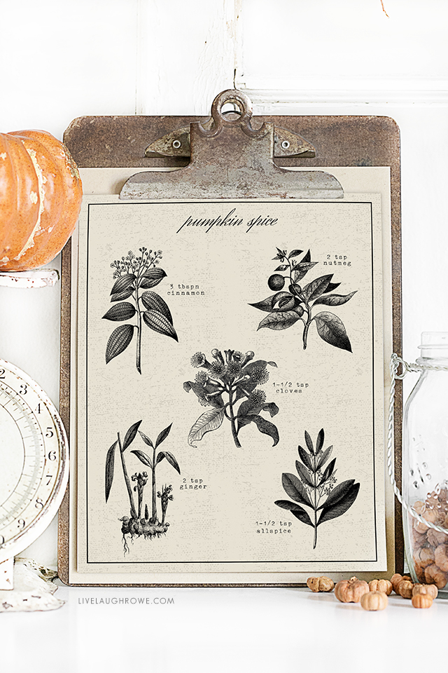 Beautiful vintage inspired Pumpkin Spice Printable -- with the recipe for pumpkin spice on it! This would make a great gift framed or with a bottle of pumpkin spice! livelaughrowe.com