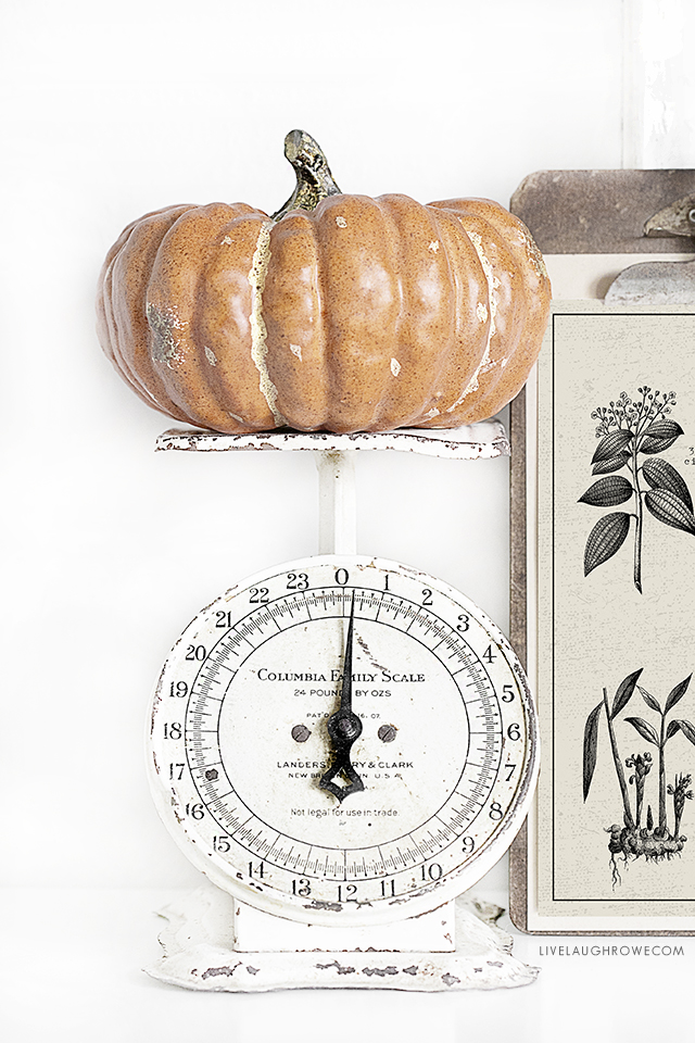 Love the simplicity of a pumpkin sitting on an old vintage scale! Did you see the Pumpkin Spice Printable that is displayed next to it? It's a FREE 8x10 print. livelaughrowe.com