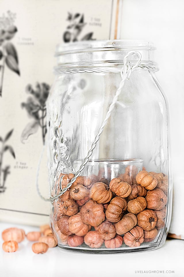 Putka pods used as a vase filler around a votive holder is an all-time favorite! Swing by to check out the Pumpkin Spice Printable too. livelaughrowe.com