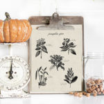 Beautiful vintage inspired Pumpkin Spice Printable -- with the recipe for pumpkin spice on it! This would make a great gift framed or with a bottle of pumpkin spice! livelaughrowe.com