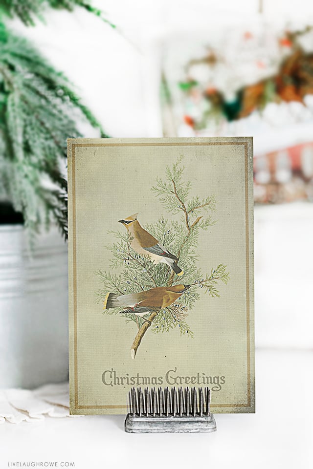 Vintage inspired printable Christmas Postcards that can be used as cards or a great addition to your holiday decor. Three different designs available at livelaughrowe.com