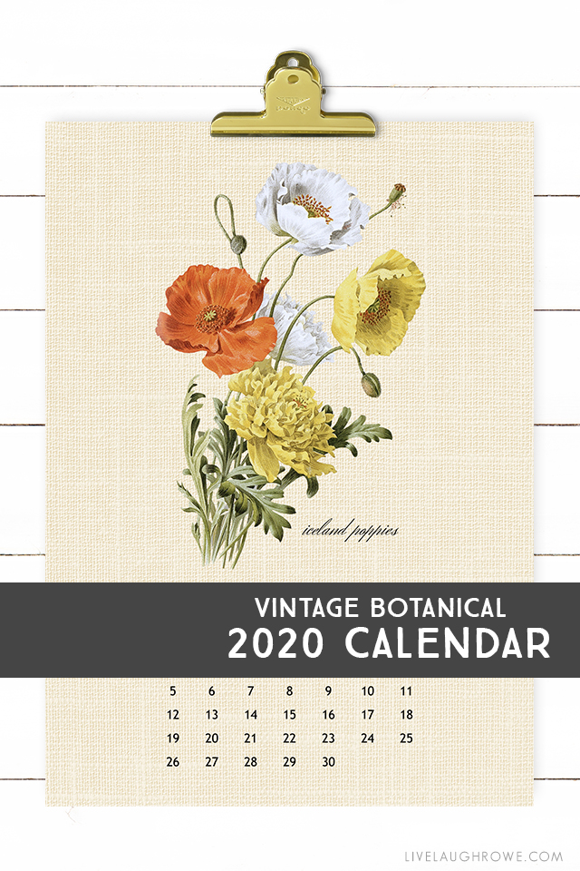 2020 Printable Monthly Calendar With Botanical Art Th - vrogue.co