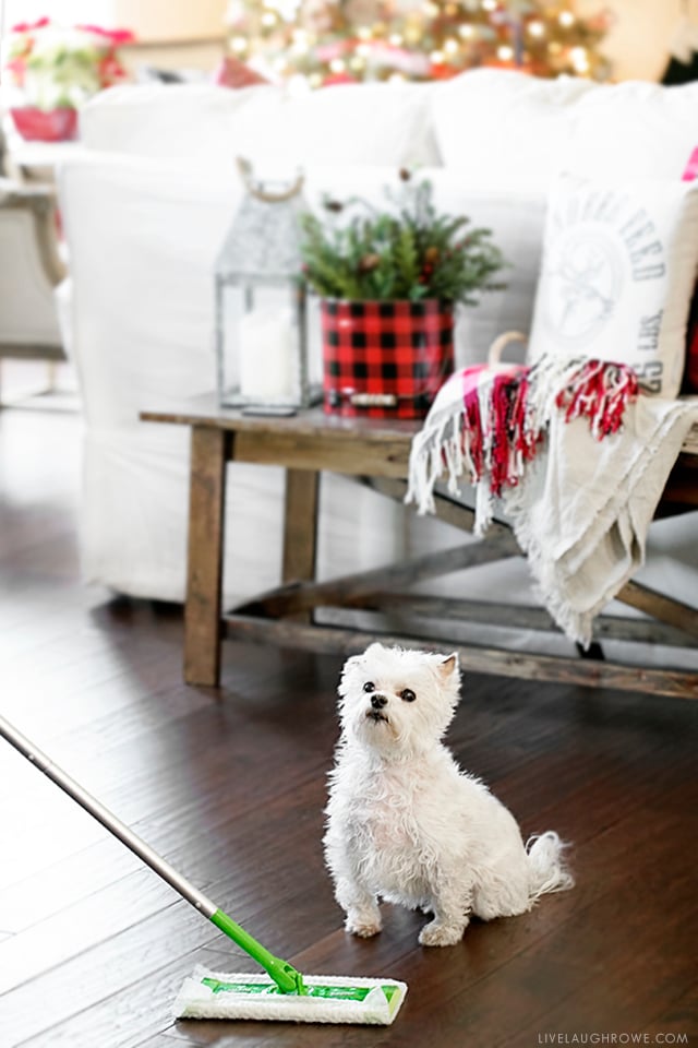 #DontSweatYourPet this holiday season! Pet friendly holidays and less stress are key with Swiffer Green. Learn why at livelaughrowe.com #SwifferFanatic #ad