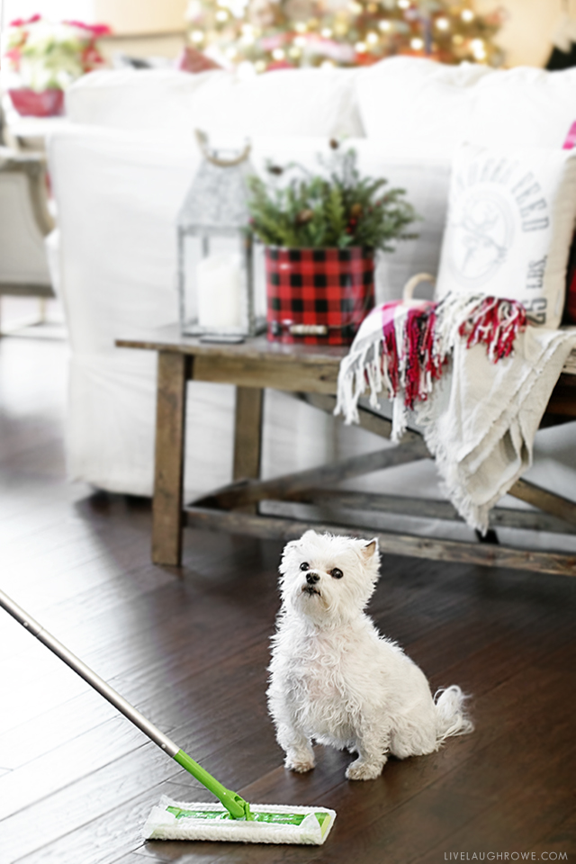 #DontSweatYourPet this holiday season! Pet friendly holidays and less stress are key with Swiffer Green. Learn why at livelaughrowe.com #SwifferFanatic #ad